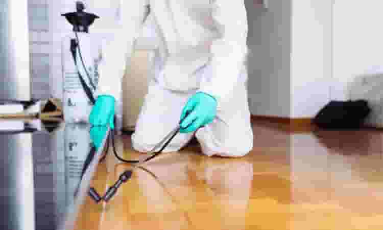 Pest control company in Riyadh